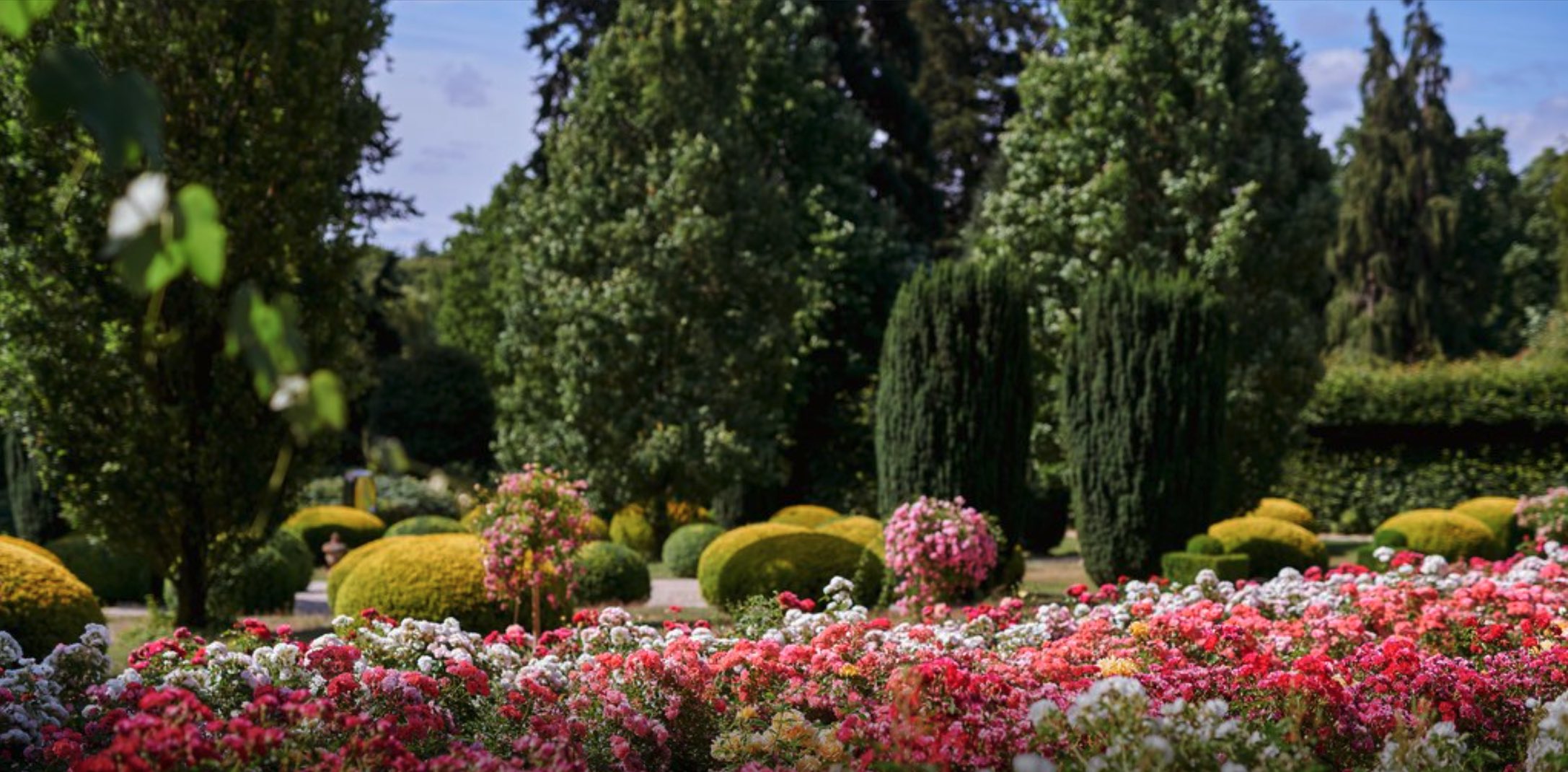 It will be a beautiful day - with cocktails and drinks in the middle of the park